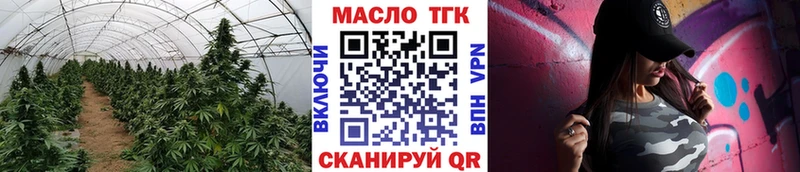 закладки  Апатиты  ТГК THC oil 